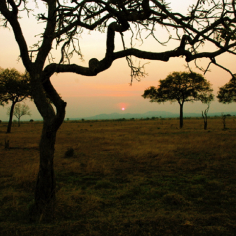 African prairie African prairie